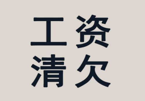 债务人无力清偿债务如何证明